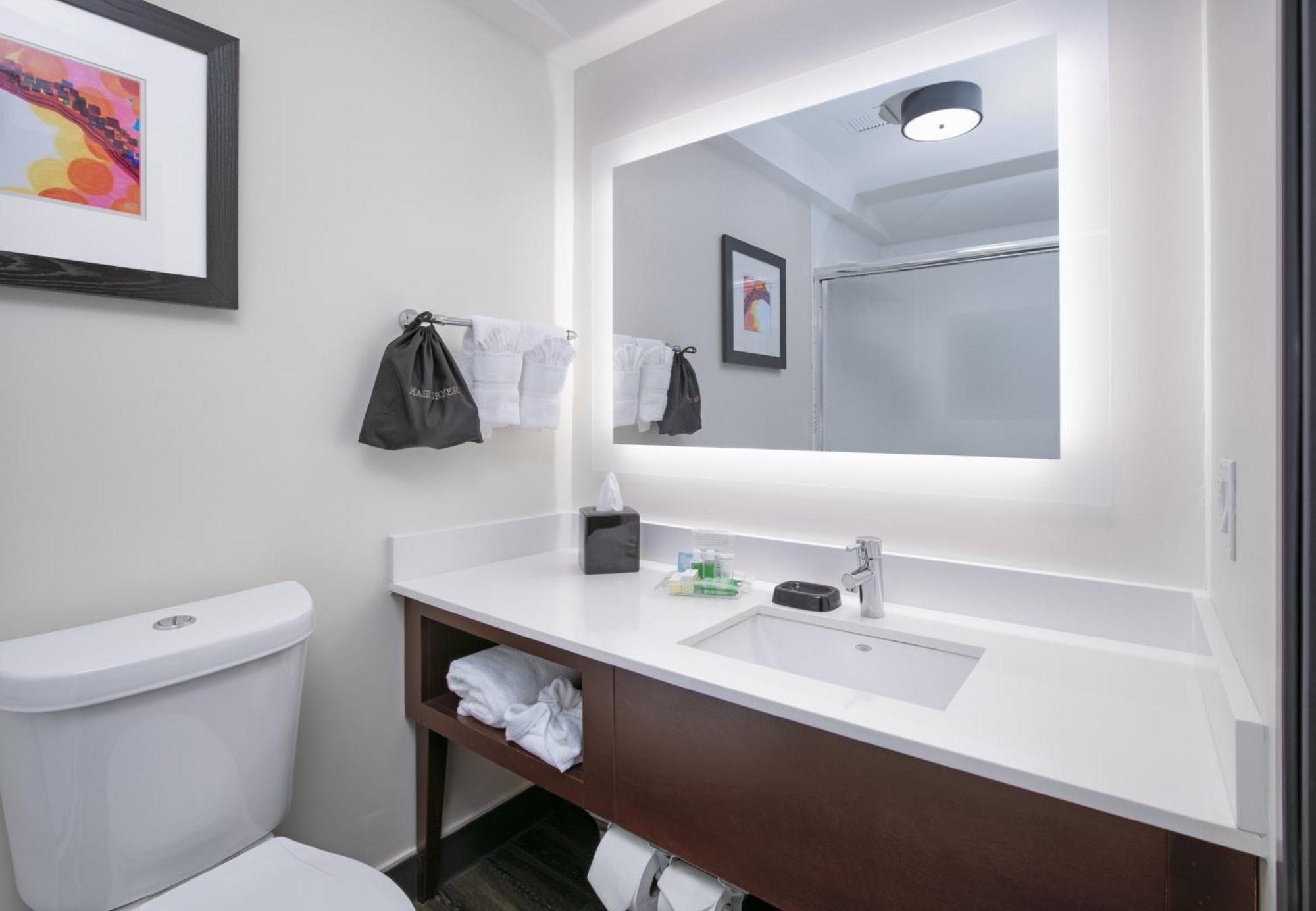 Holiday Inn Dallas - Fort Worth Airport South By Ihg Exterior photo